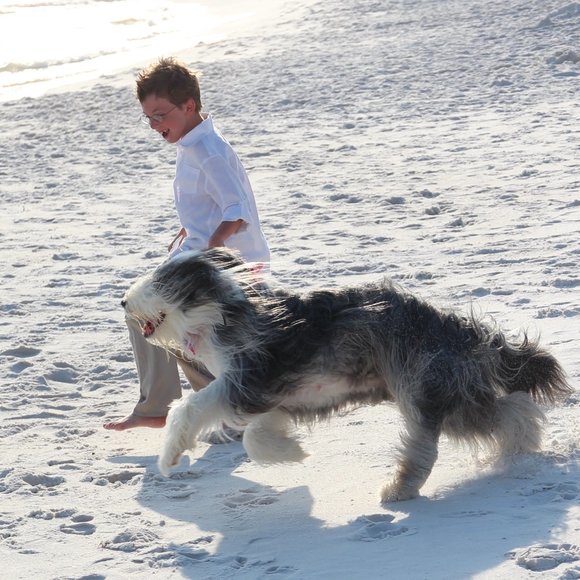 ⭐️TOP RATED SELLER ➕ FAST SHIP  📦 - Picture 2 of 10